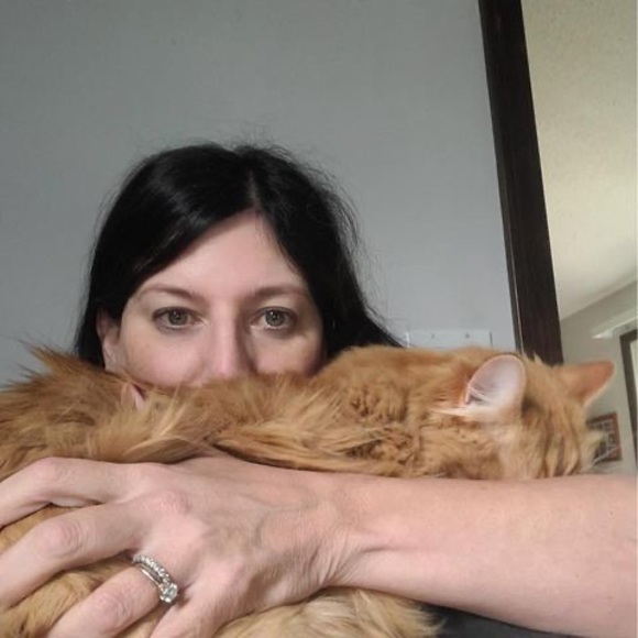 Meet your Posher, Renee - Picture 1 of 1